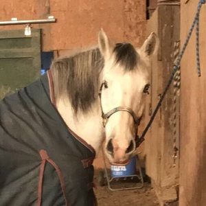 Meet your Posher, Emma